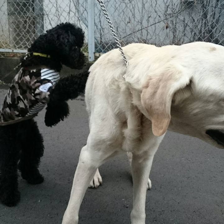 C7b0711e 775a 4844 8432 86a77a846d88