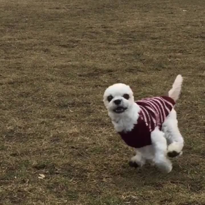 C7b27c39 8859 445f 968c d0a4bc278a6e