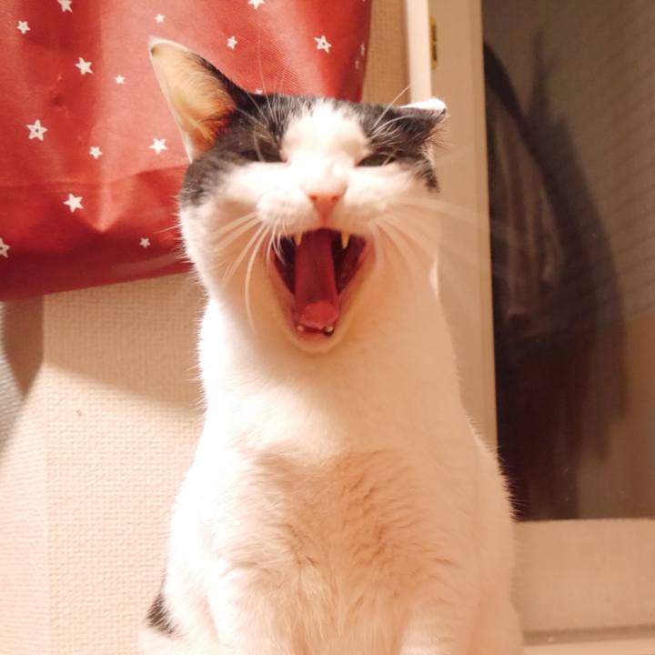 C7b29919 1195 4815 b54b 54f9e18841d7