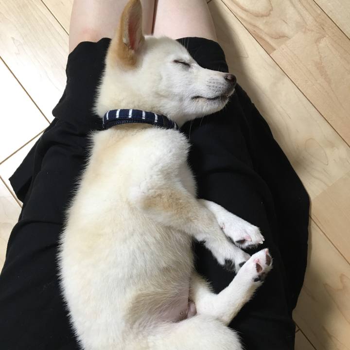 C7b2d069 859a 4457 b004 4458cebde0df