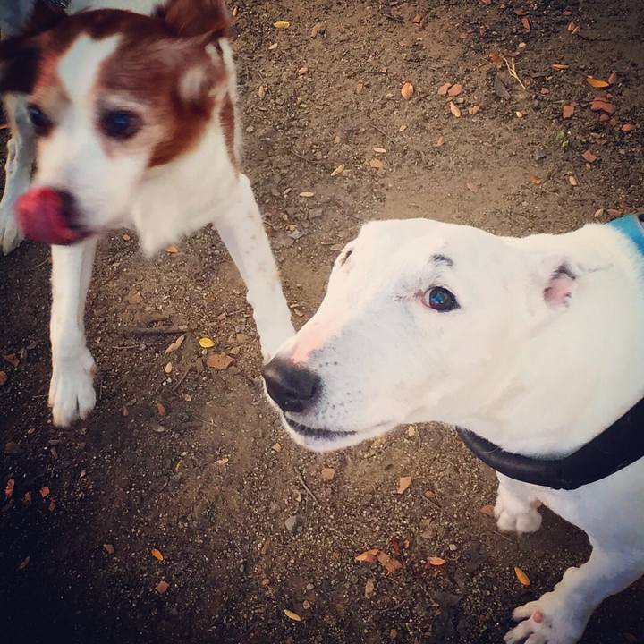 C7b2e334 6ff6 4b7f 90c1 a9d5a5b8fe58