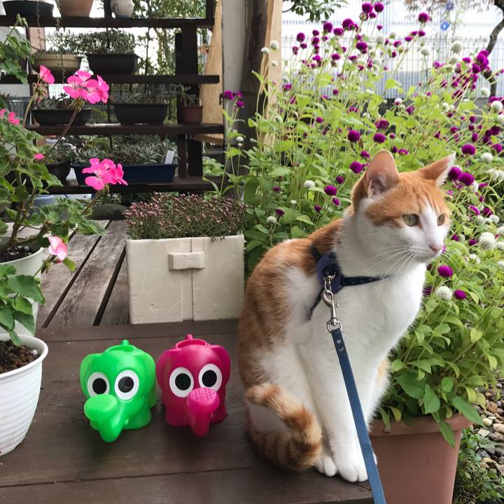 C7b37e29 3b22 4c2f b8d9 4d1bbb01defd