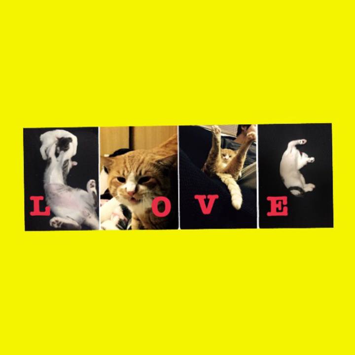 C7b45f7d 8bdf 4568 8029 67505c485faa