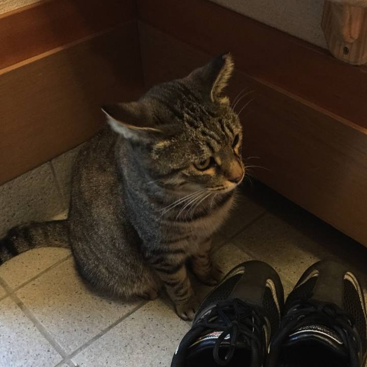 C7b4df70 0e8a 45a2 8da8 a20655c33e98