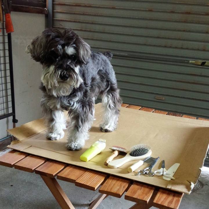 C7b50495 1251 4daa 8d21 8c5d434433f7