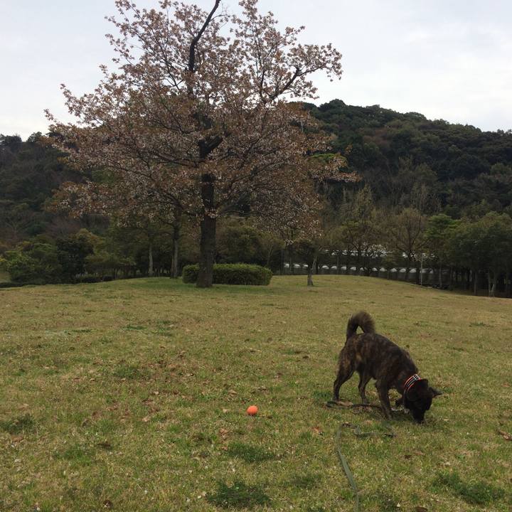 C7b5a8b6 808f 4a5a 959d 75406f0cb574