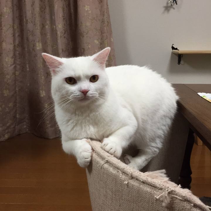 C7b5b1e9 f16e 4d46 b2a1 6e8a6057d9d8