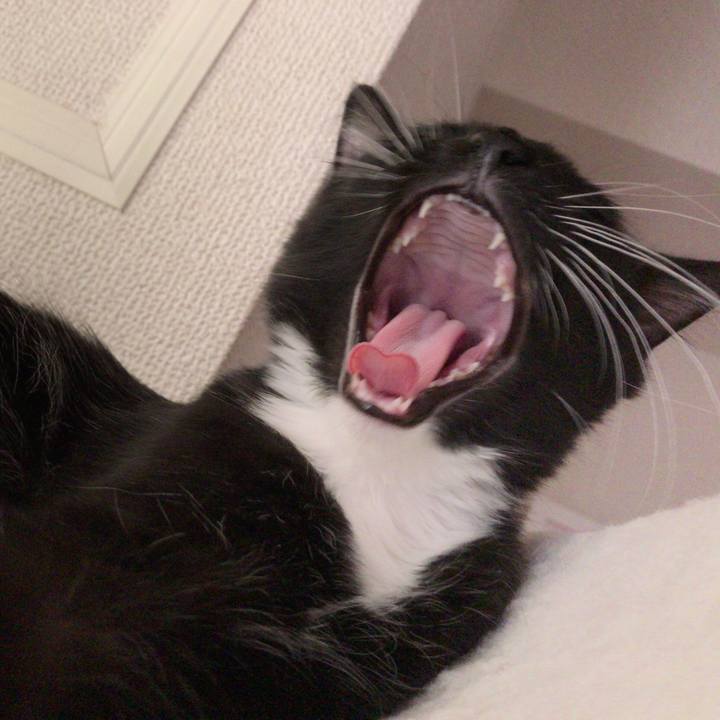 C7b5bae8 798c 4079 8b4d 30cb8991ae58