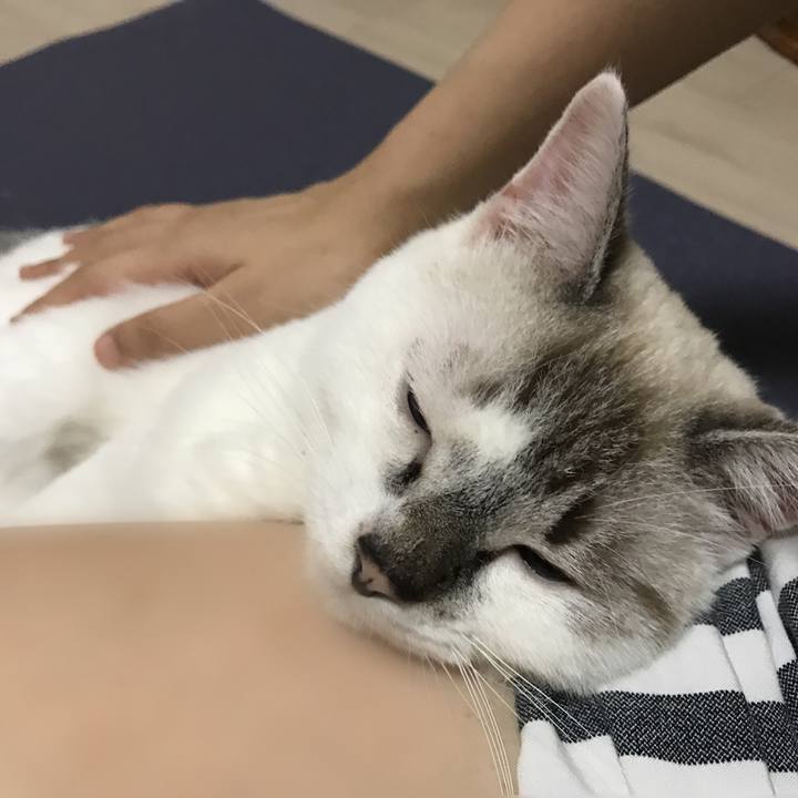 C7b5e7da ecaf 4c35 ad71 8c340688c3bd