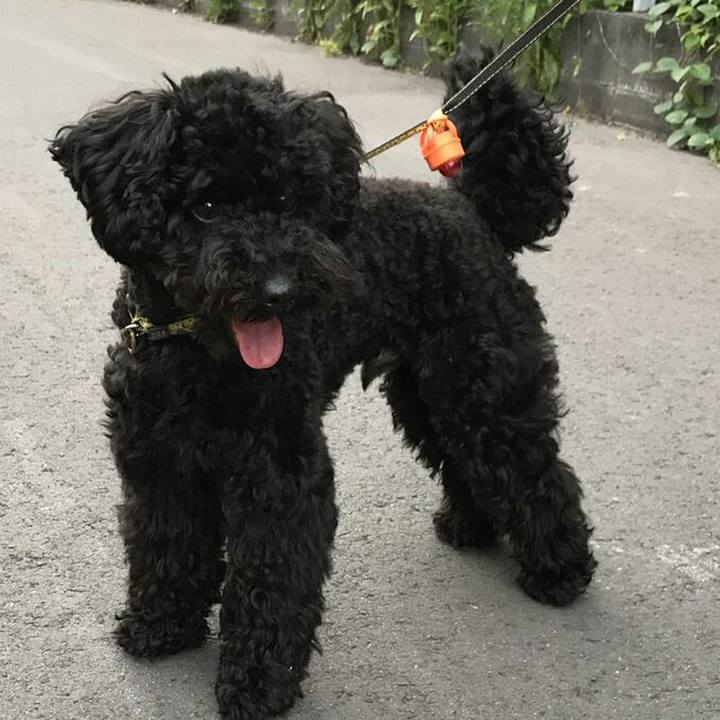 C7b6352d 32b1 4f9a 9f4e 1750e6178235