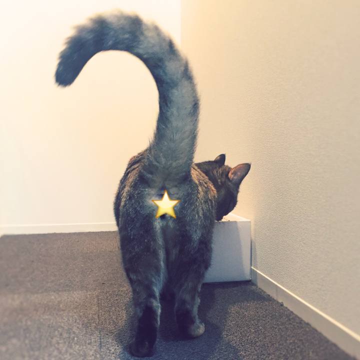 C7b64ef8 95a0 4c94 a2c5 dfb07900e234