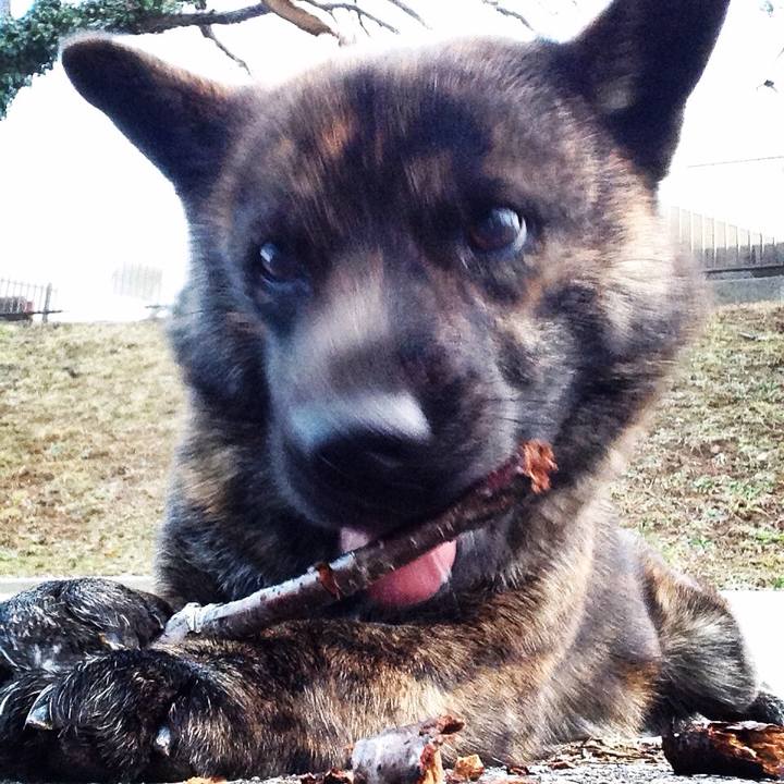 C7b6f1e7 fb76 450e 9586 90857be42948