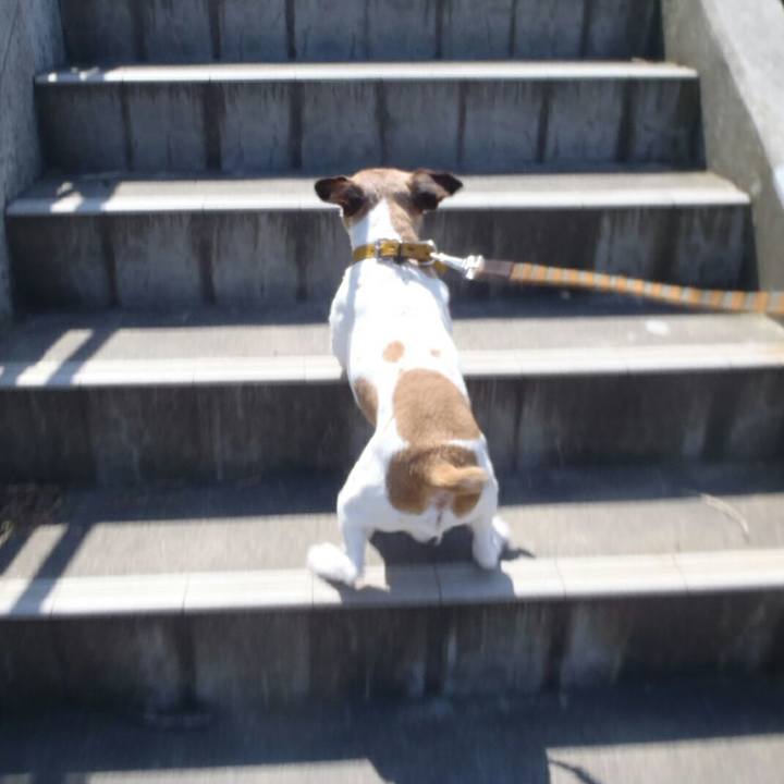 C7b78f4e b935 4dcf 9b54 4f2ee8cde219