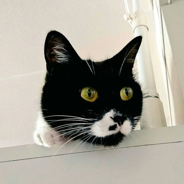 C7b7a807 b742 44ef 8b28 b979bee83cdd