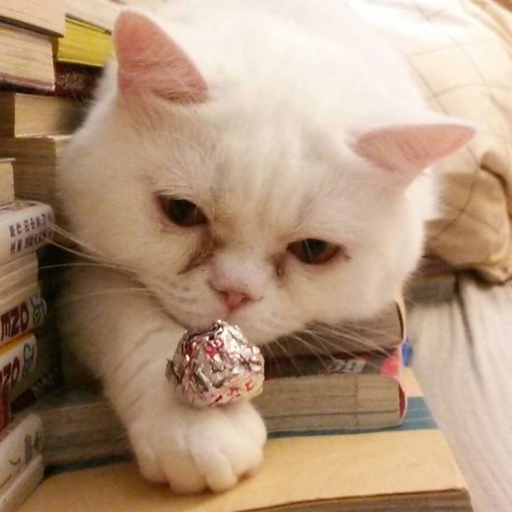 C7b7c6c9 3886 4fbe b275 7ee7e8bc83e1