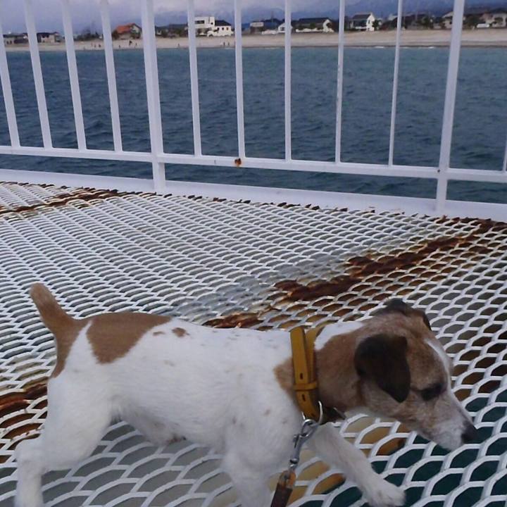 C7b827e5 0d69 4473 8cc7 302d9bfc8a7a