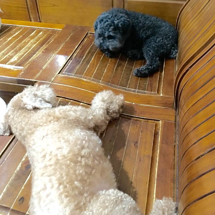 C7b8bcd6 623d 4828 a1d4 9ce7fe9b8783