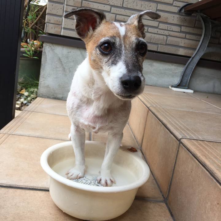 C7b91472 ada0 48b8 a6ee 54a74fbd69b1