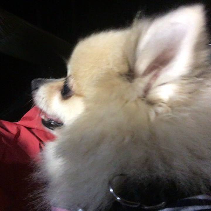 C7b93d3d 905f 4852 a753 14975473adc8