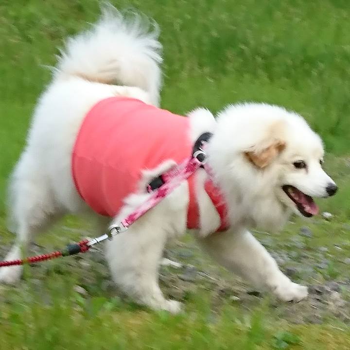 C7ba72a7 bc02 4079 945e 31fa7347a489