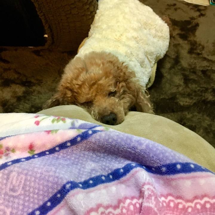 C7bb0112 c721 4b8b ac6e 565d7d709429