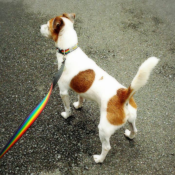 C7bb118d 1ebc 4f45 9637 203c79f7d1f3