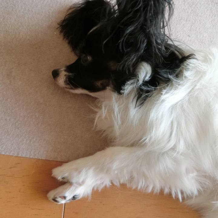 C7bb2f86 4f58 4273 a692 e18e82f5f16c