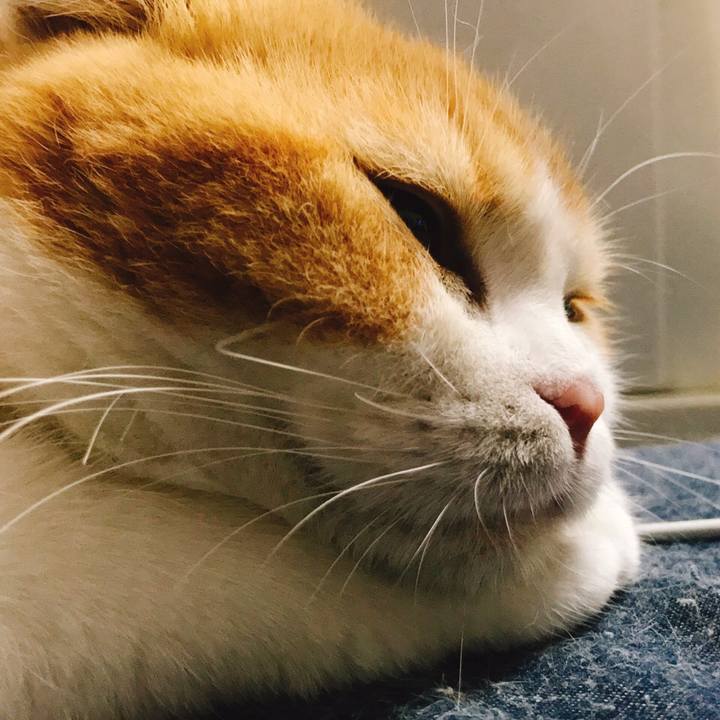 C7bb8267 e039 4fe9 a99e a1169c54ed74