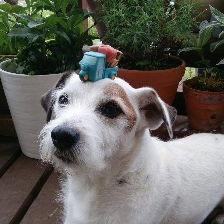 C7bbedfb bc41 4756 9533 b696aa2f73e2