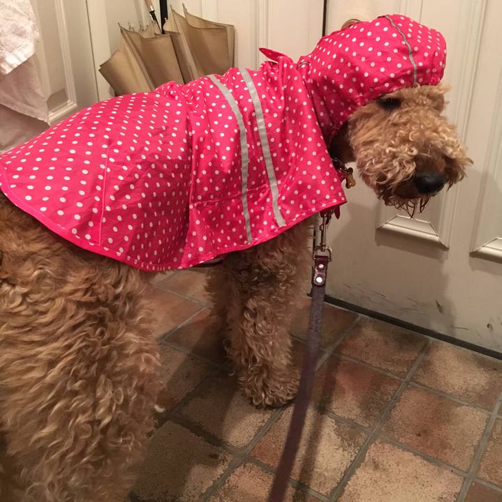 C7bce097 84fb 4cbc a181 f03991feff79