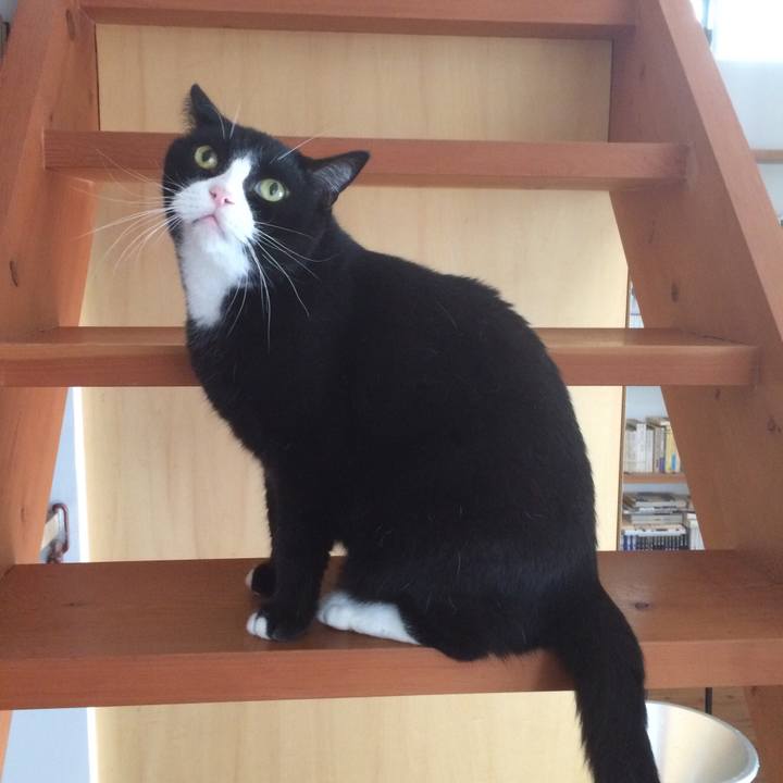 C7bce1e9 6cd2 4068 a4b6 269e20006b4c