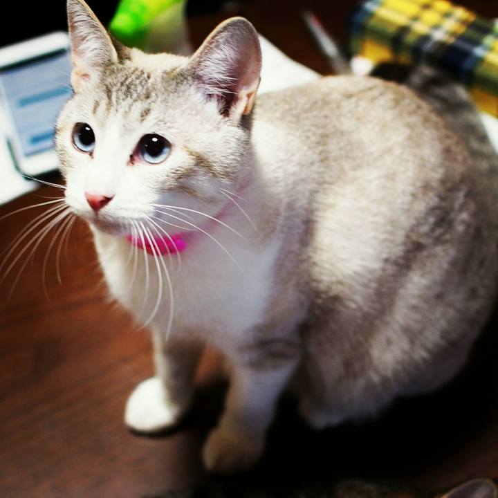 C7be17cd 5ae7 4d8e 97b8 0c2734f17b0f