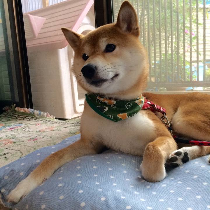 C7be246e e445 44e9 af49 a87bf1628643