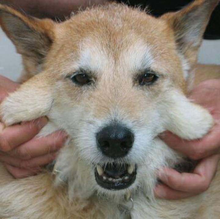 C7be46a0 a4d8 48ad b52c 66d0f430294e