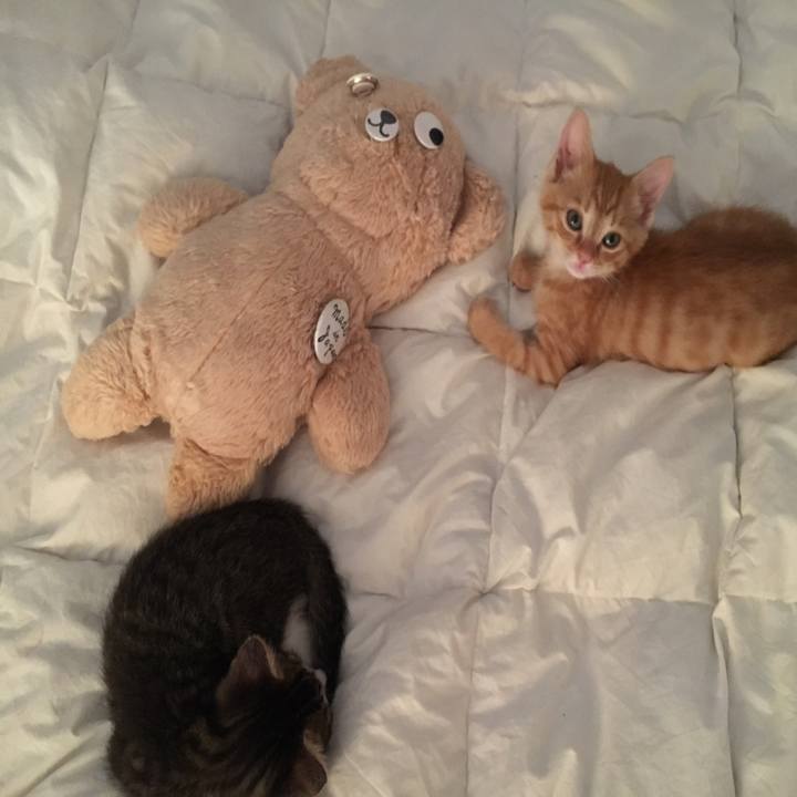 C7be8a77 1426 45da a853 1adffa348f58