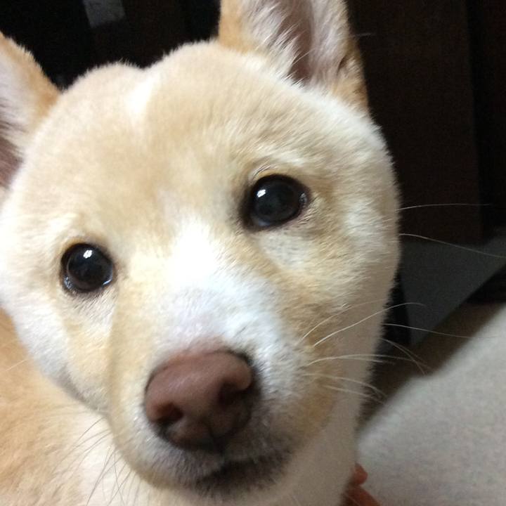 C7be8fb5 d140 4949 9d96 e7333dd99dc1