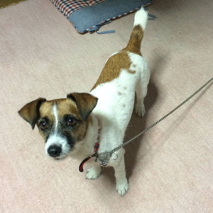 C7bfb8c9 c9e2 4c06 baf5 3819ca16291e