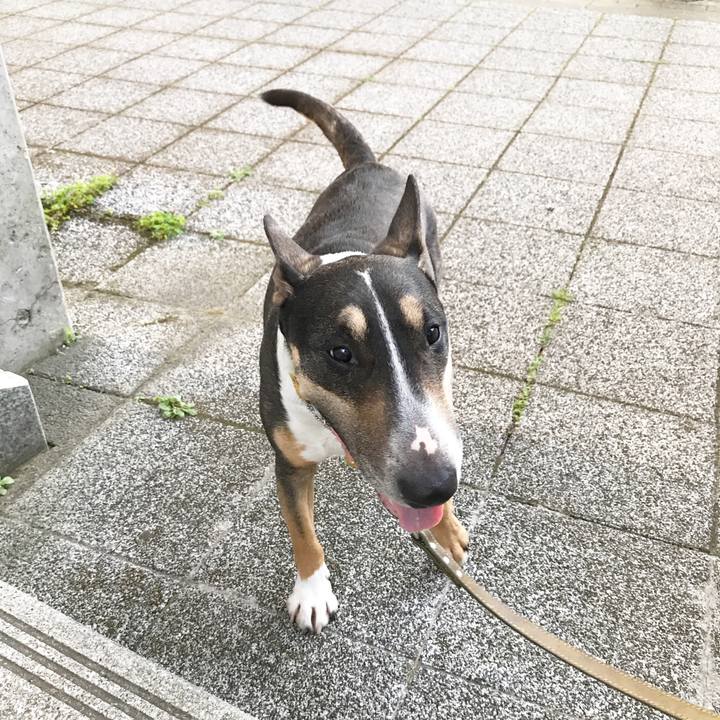 C7bff499 3b5d 4c75 badc cbdb59d0bf76