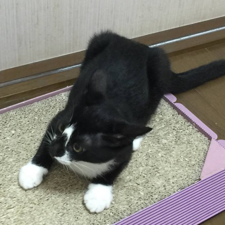 C7c004a4 84fd 4c63 b690 4aca0261a3c8