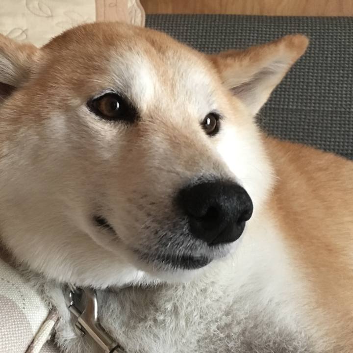 C7c0e5ce 8d32 4303 b39d 20707e01de06