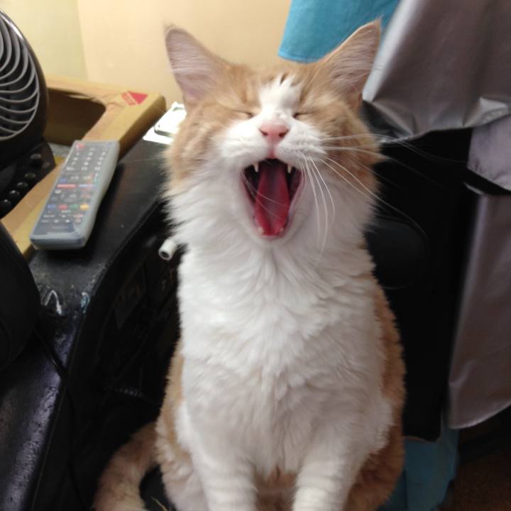 C7c0e99c 9025 43f2 a94c a68bcf74556e