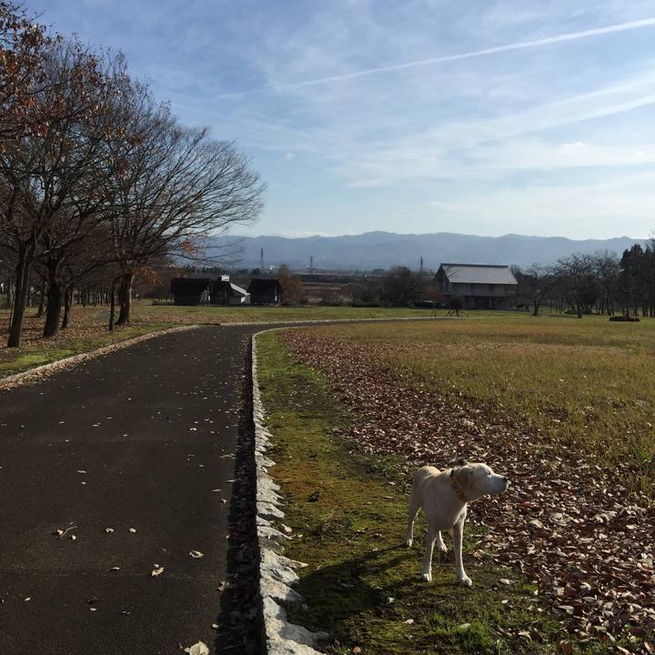 C7c1aa69 f545 4da1 ab61 e9e5d03b093f