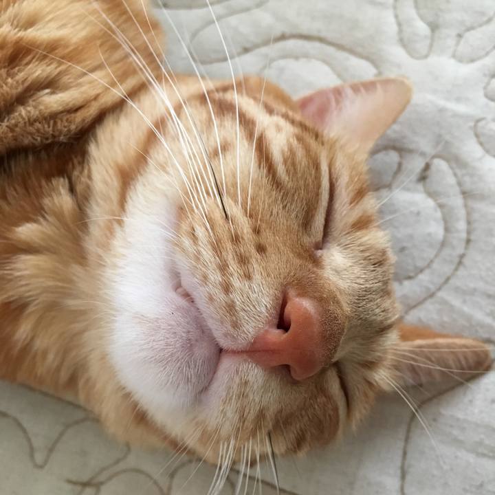 C7c1d395 b0d9 45aa 93bd 6cccdc2e7085