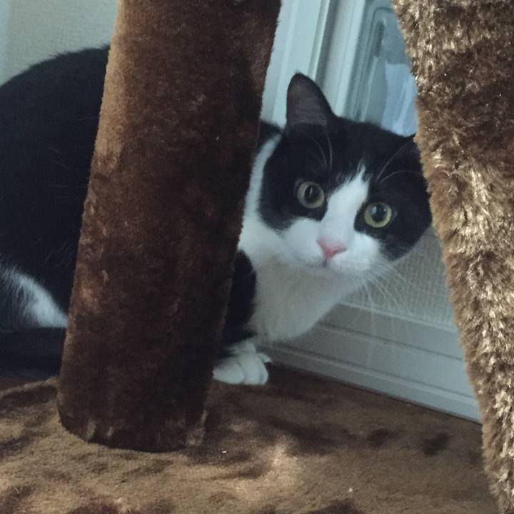 C7c25451 99a2 4015 8056 8859e03152ca