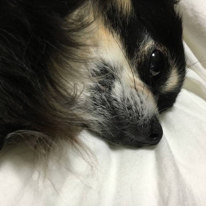 C7c2c4c2 6311 4e4f 8b68 aec086eeb67b