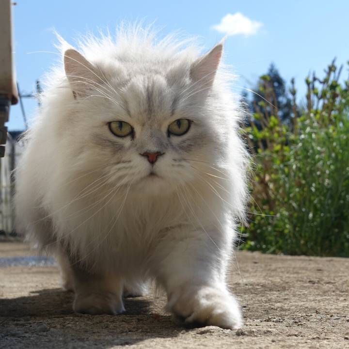 C7c2d3d3 1666 47fb b341 fceb3cdc79c1