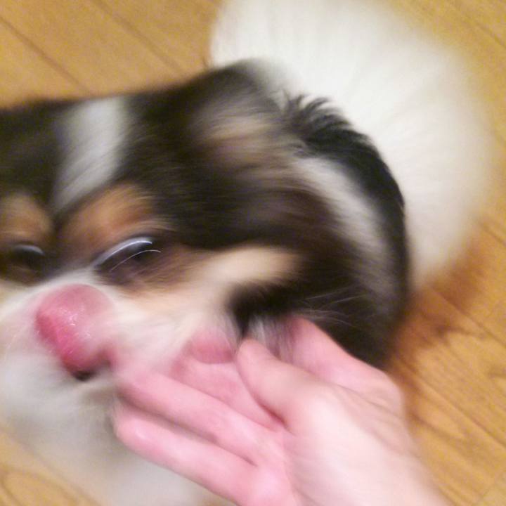 C7c3ef6a 1203 4aef 9030 cce23cff386d