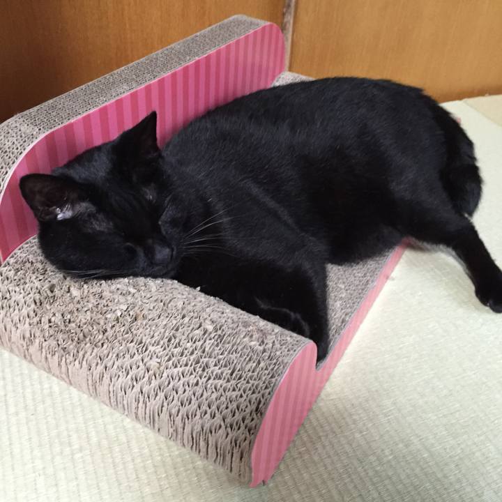 C7c42002 1f2d 4ff3 bff3 337df4901e4c