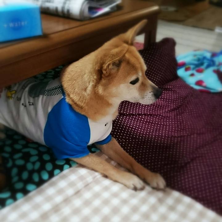 C7c43699 0c5a 4818 bad9 a9c4972b4efc