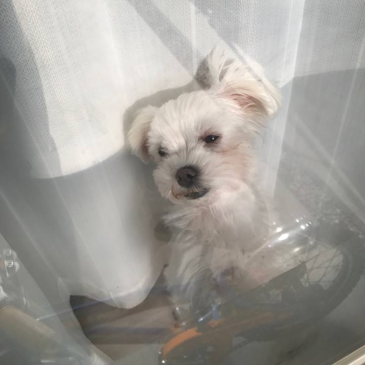 C7c43a16 8161 4667 b009 ff8dc307e1dc